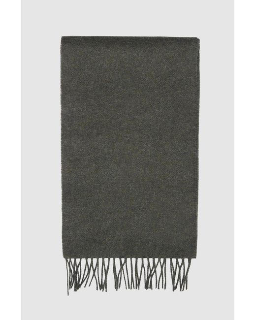 Alexandre Silver Label Green Merino Wool Scarf for men