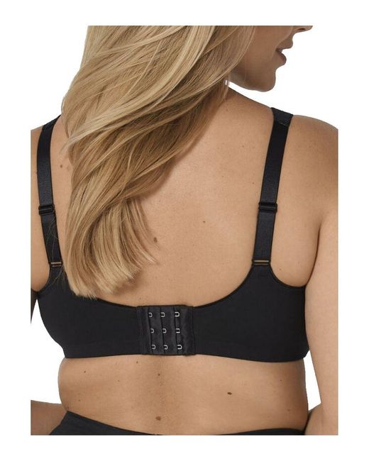 Triumph Black Modern Soft + Cotton Padded T-Shirt Bra