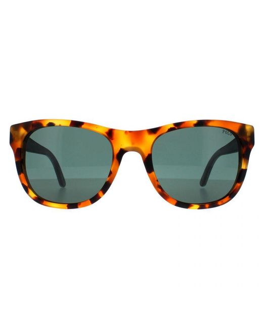 Polo Ralph Lauren Brown Square Tokyo Havana & Tartan Sunglasses for men