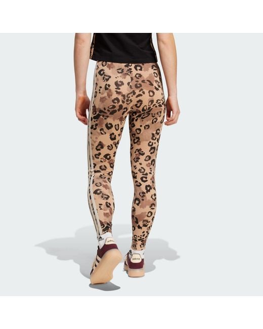 Adidas Multicolor Animal Print 3-Stripes High Rise Leggings