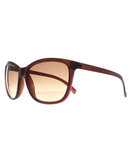 Calvin Klein Brown Cat Eye Milky Gradient Ck19565S