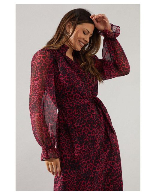 Wallis Red Animal Print Hankey Hem Shirt Dress