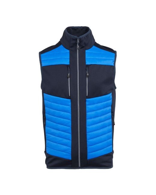 Regatta Blue Adult E-Volve Thermal Hybrid Body Warmer (Strong/ for men