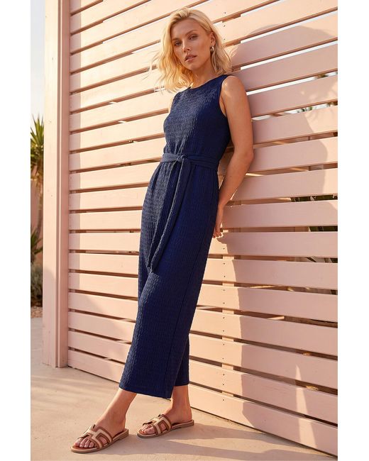 Roman Blue Petite Textured Jumpsuit