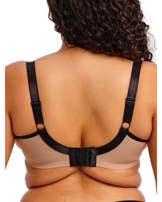Elomi Black Teagan Plunge Bra Cafe Au Lait