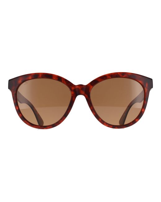 Serengeti Brown Cat Eye Matte Classic Tortoise Saturn Polarized Drivers Endee