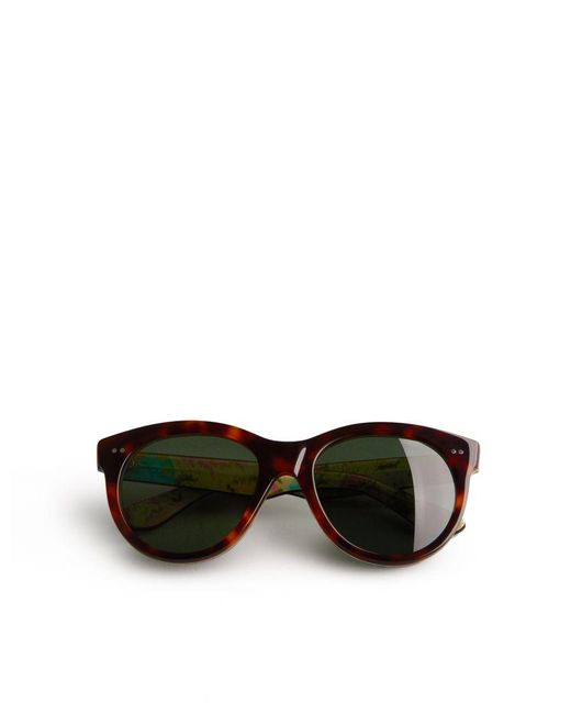 Ted Baker Black Manhatn Printed Sunglasses, Tortoiseshell