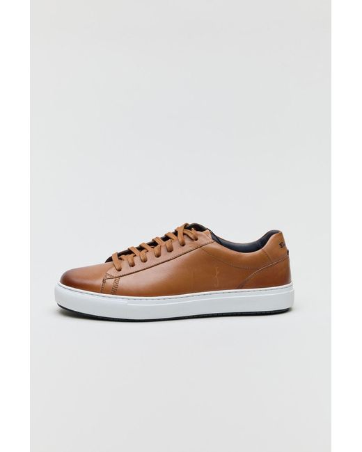 Ben Sherman White Ace Cupsole Leather Tan Trainers for men