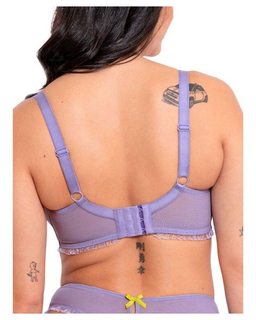 Curvy Kate Purple Frill Me Balcony Bra