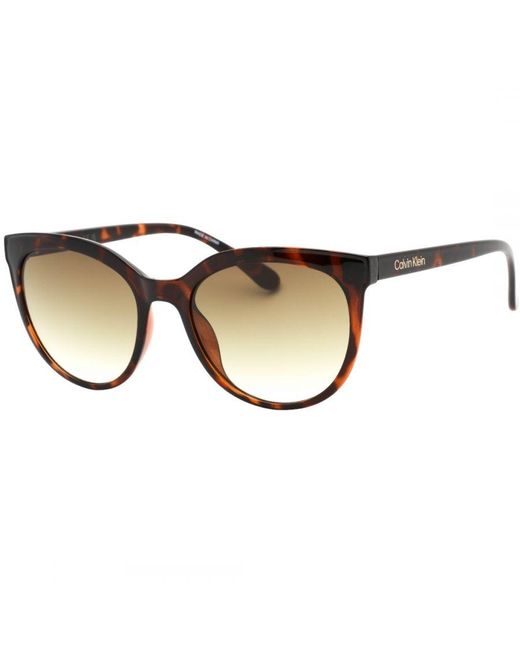 Calvin Klein Brown Ck22552S 240 Havana Sunglasses for men