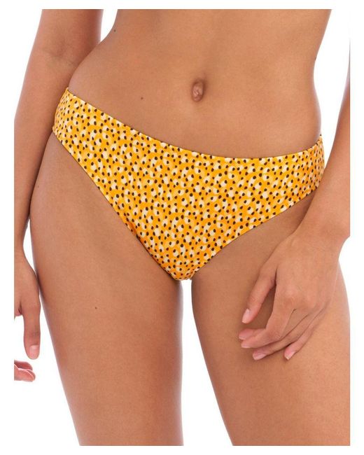 Freya Orange 202487 Cala Palma Bikini Briefs