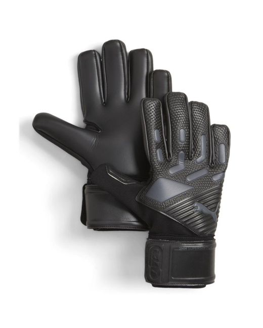 Buy 2024 puma gloves