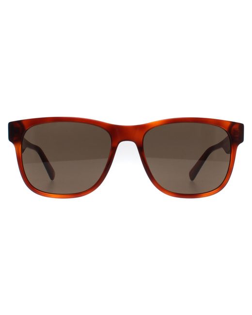Banana Republic Brown Rectangle Havana Honey Br 4008/S for men
