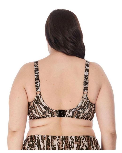 Elomi Black Fierce Crop Bikini Top