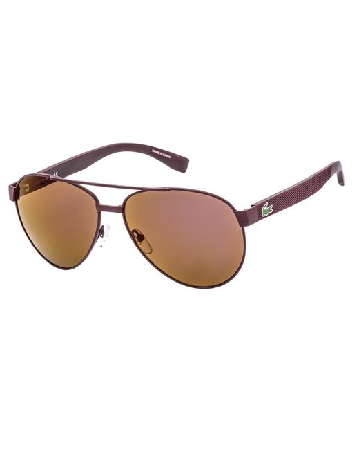 Lacoste Brown Matte Framed Lensed Sunglasses Metal
