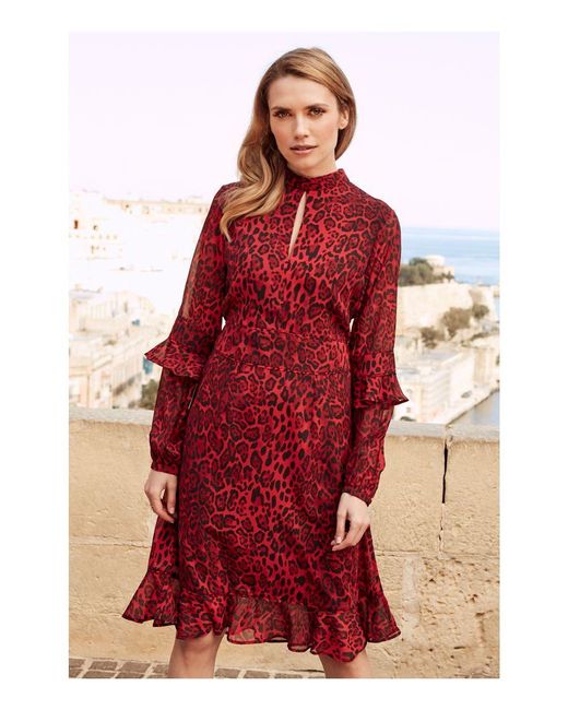 Leopard print fit and flare cheap dress