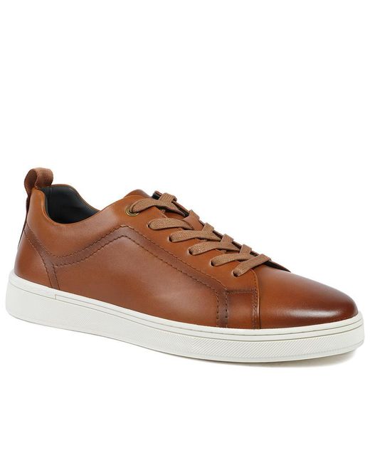 Jones Bootmaker Brown Salvador Leather Lace Up Trainers for men