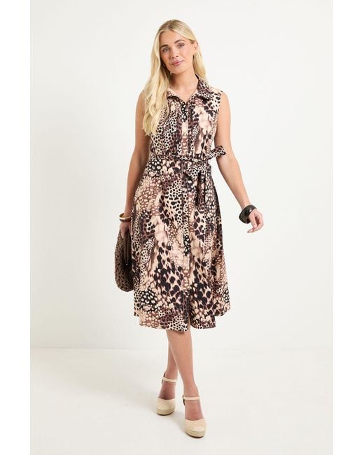 Wallis White Petite Summer Cotton Animal Shirt Dress
