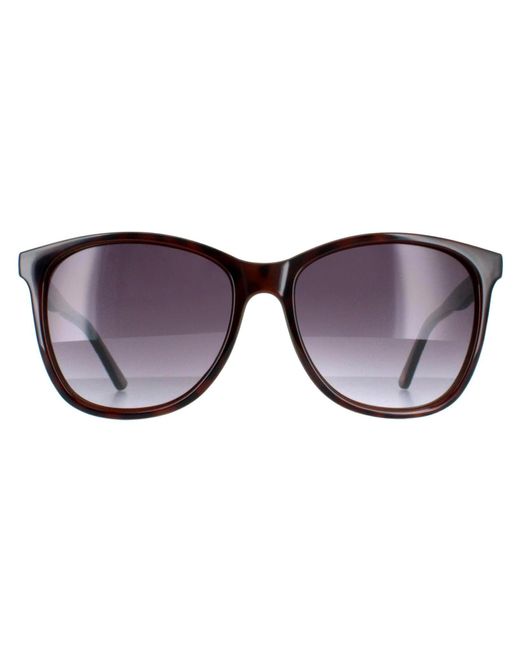 Ted Baker Brown Oval Tortoiseshell Gradient Tb1496 Alva