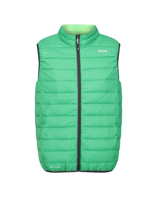 Regatta Green Marizion Quilted Gilet (Field/Jasmine) for men