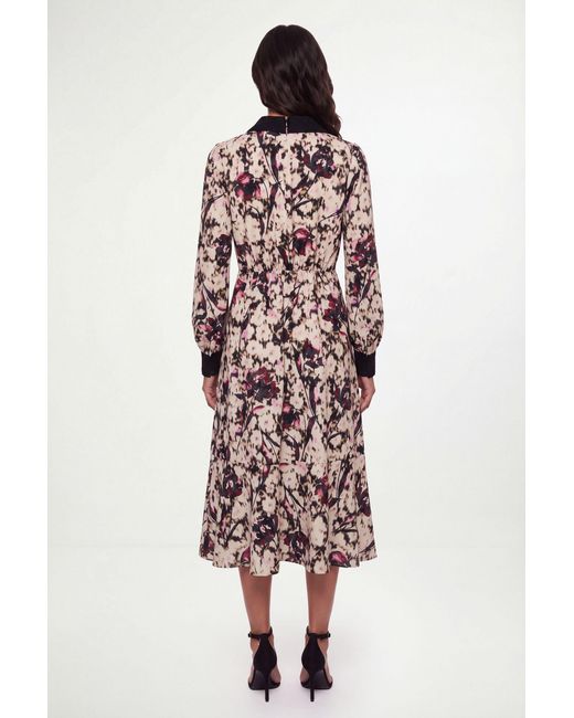 Wallis Black Floral Lace Detail Collared Shirt Dress