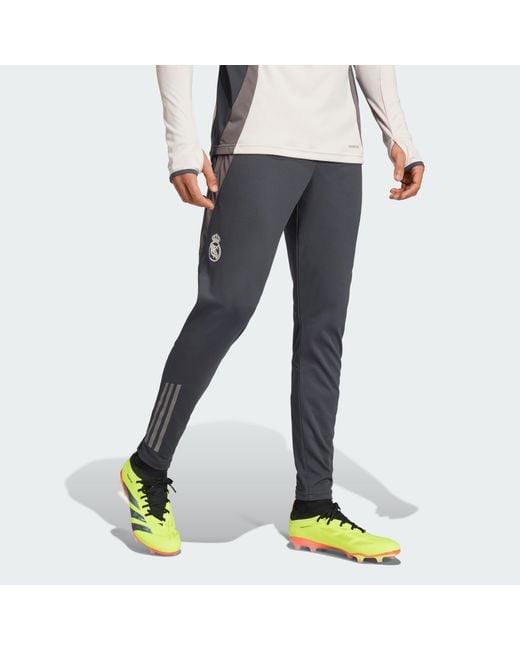 Adidas Originals Blue Real Madrid Tiro 24 Competition Training Pants for men
