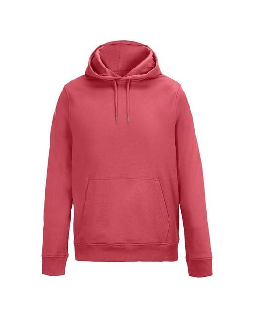 Sol's Red Adult Constellation Hoodie (Folk)
