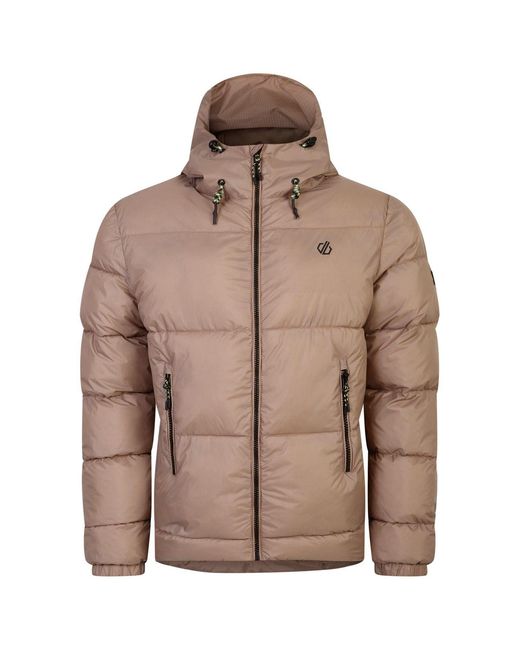Dare 2b Brown Endless Solid Patterned Hooded Puffer Jacket for men