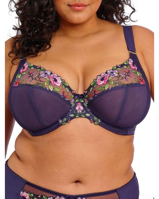 Elomi Purple Himari Side Support Plunge Bra