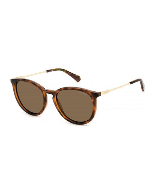 Polaroid Brown Pld-4143-S-X-086 Pld 4143 S 53 X 086 Sunglasses for men