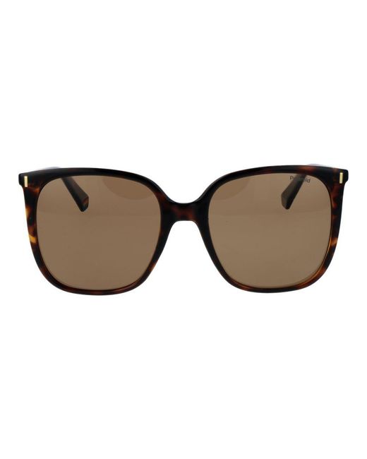 Polaroid Brown Plastic Sunglasses