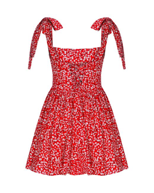 NAZLI CEREN Red Audree Floral Print Poplin Mini Dress