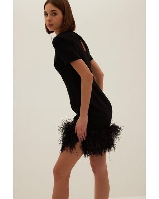 HERVANR Black Arabella Feather Dress