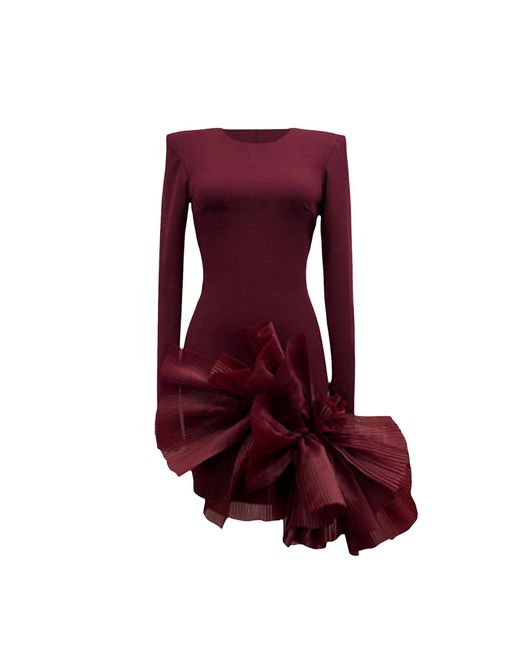 ANITABEL Purple August Burgundy/ Mini Dress