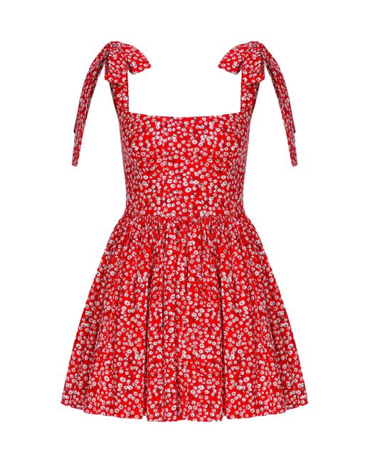 NAZLI CEREN Red Audree Floral Print Poplin Mini Dress