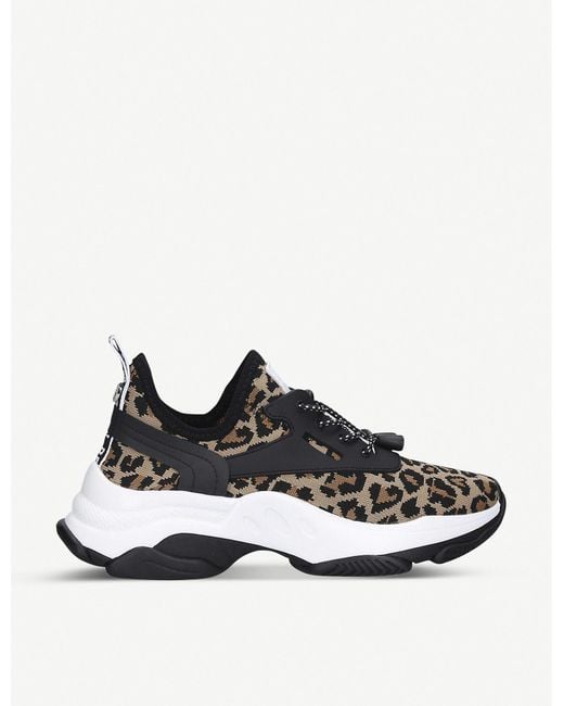 Steve Madden Black Match Animal-print Knitted Trainers