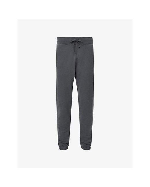 AllSaints Gray Raven Logo-Embroidered Cuffed Cotton-Jersey Jogging Bottoms for men