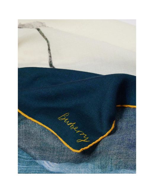 Burberry Blue Duck Cashmere And Silk-blend Scarf