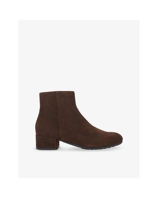 Dune Brown Pippie Heeled Suede Ankle Boots