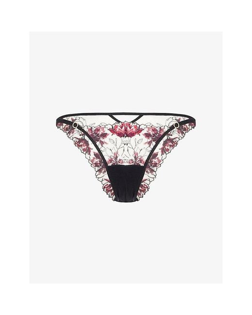 Bluebella Multicolor Calista Floral Lace Brief