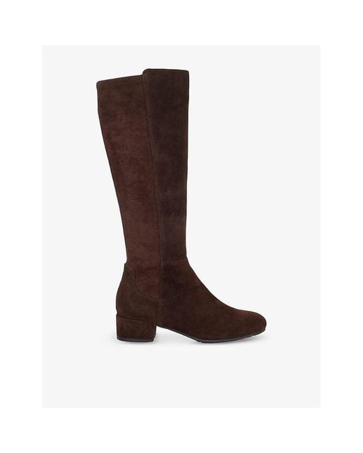 Dune Brown Tayla Suede Knee-High Boots