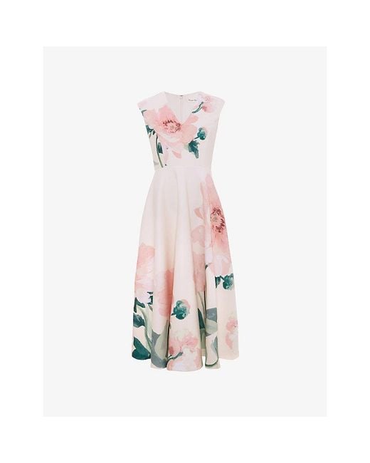 Phase Eight Pink Rakhi Scuba Floral-Print Woven Midi Dress
