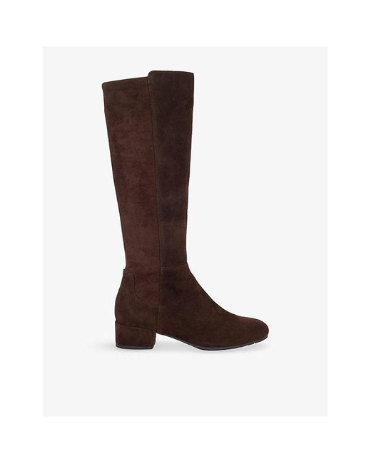 Dune Brown Tayla Suede Heeled Knee-High Boots