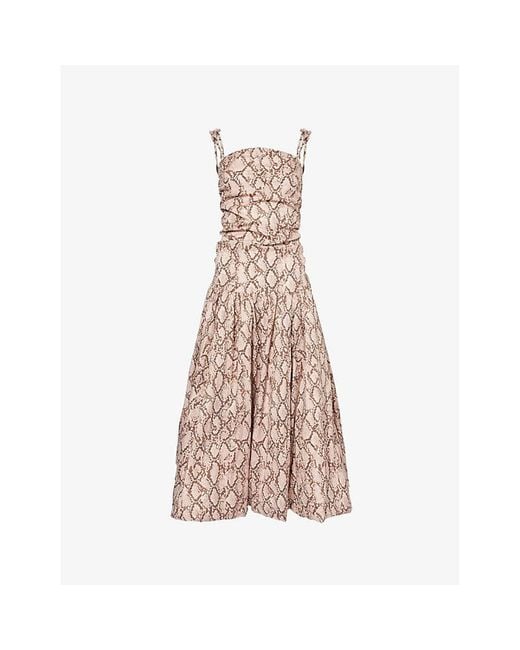 Amy Lynn Multicolor Alexa Snake-Print Cotton-Poplin Midi Dress