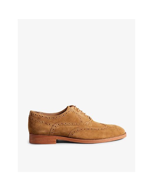 Ted Baker Brown Ammais Perforated Suede Brogues for men