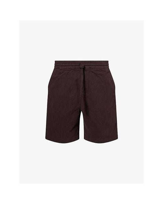 Carhartt Multicolor Floyde Drawstring Cotton Shorts for men