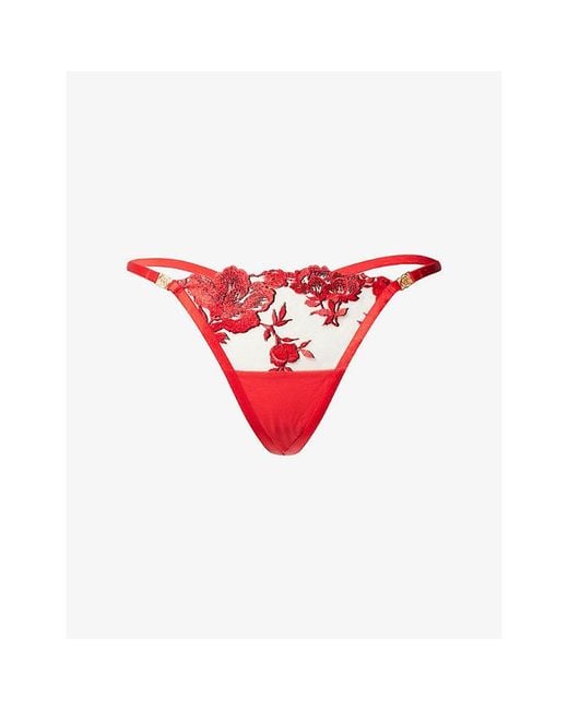 Bluebella Lavanya Floral-Embroidered Stretch-Mesh Thong