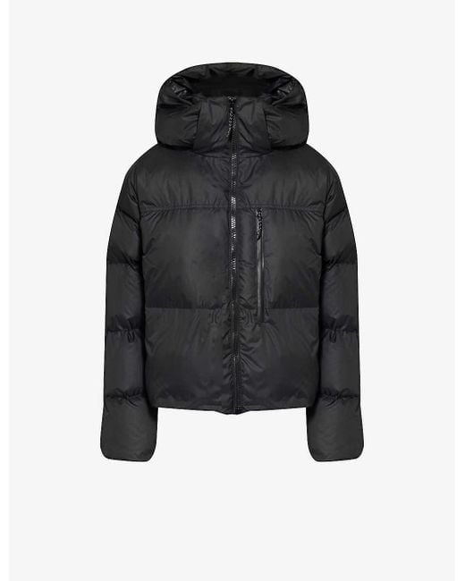 Adidas By Stella McCartney Black Truenature Padded Recycled-polyester Jacket
