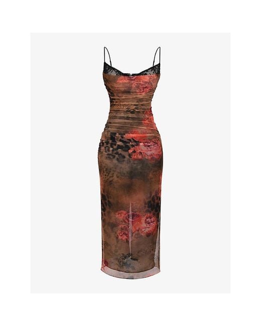 House Of Cb Red Nalini Floral And Leopard-print Stretch-mesh Midi Dress