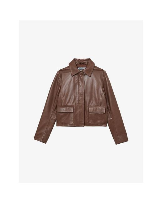Reiss Brown Drew Classic-Collar Leather Jacket